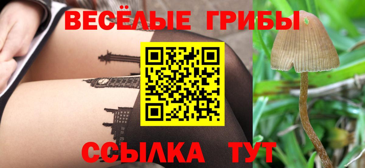 Галлюциногенные грибы мицелий  Вход с VPN  Северск 
